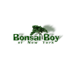 bonsai-boy-of-new-york-coupon-codes