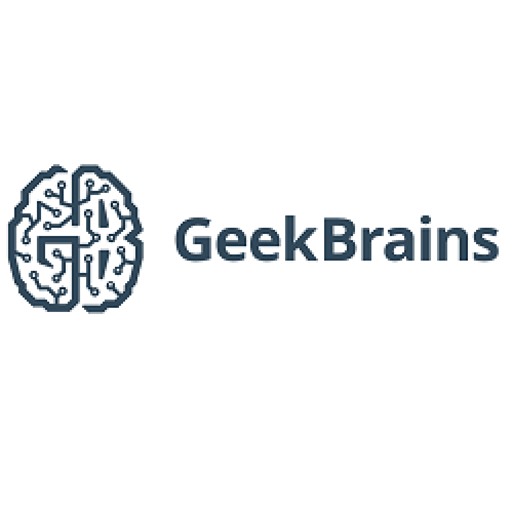 Geek Brains