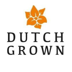 Dutch-Grown-coupon-codes